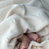 blanco ベビー ニットブランケット organic cotton blanket オーガニックコットン 無地 ブランコ